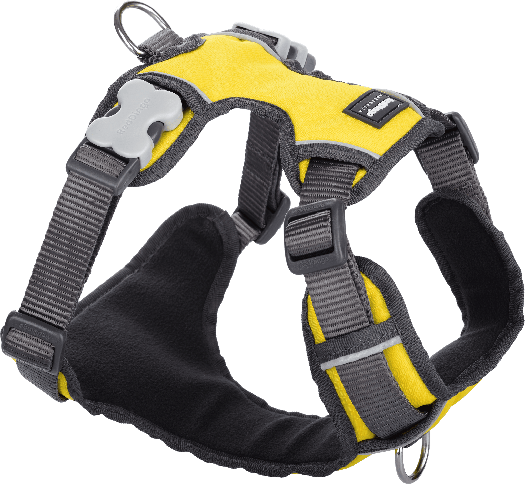 Dog tag on 2024 harness